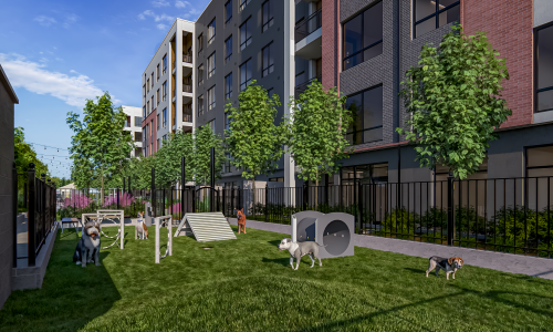 ➞ Pet-Friendly Amenities Cover Image