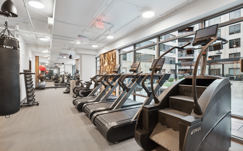 workout equipment 