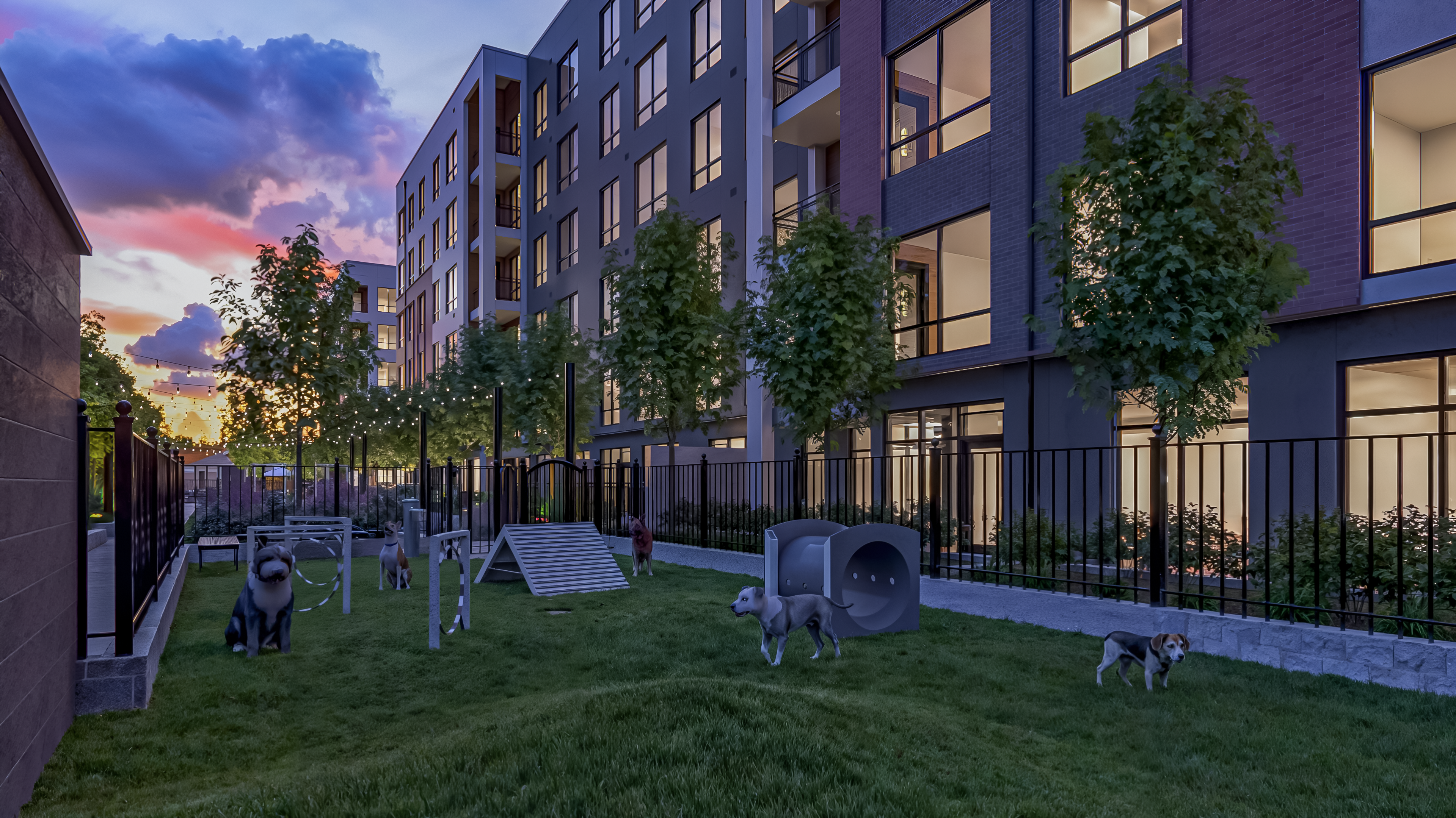 ➞ Pet-Friendly Amenities Image 1